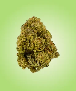 Premium Economy THCA Flower